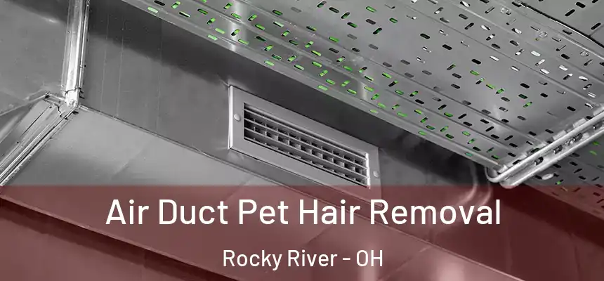  Air Duct Pet Hair Removal Rocky River - OH