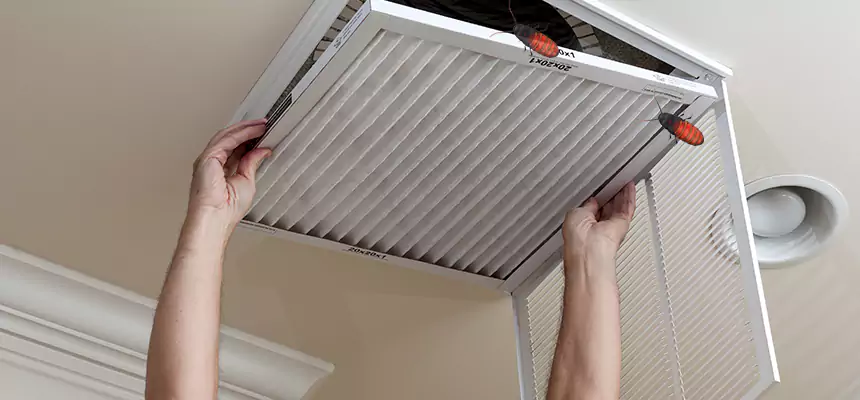 Preventive Cockroach-Proofing for Ducts in Rocky River