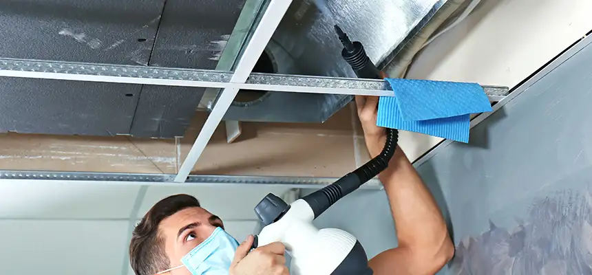 Our Air Duct Rodent Removal Services in Rocky River, OH