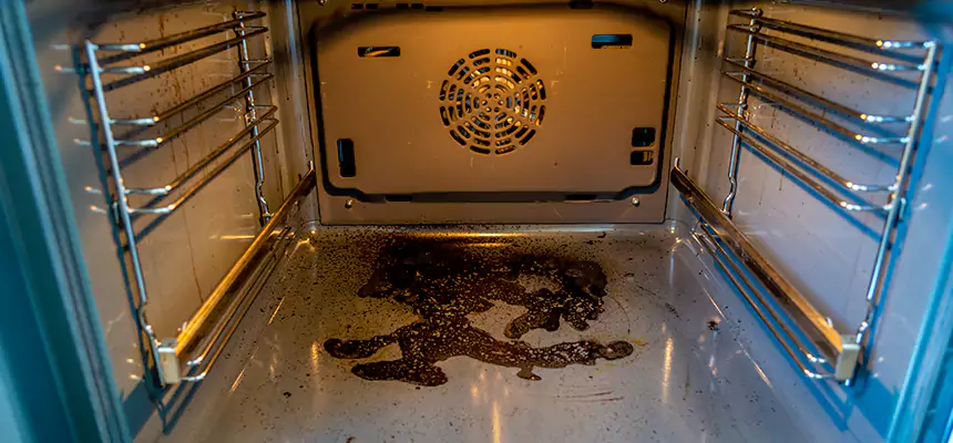 Our Dryer Vent Mold Cleaning Services in Rocky River, OH