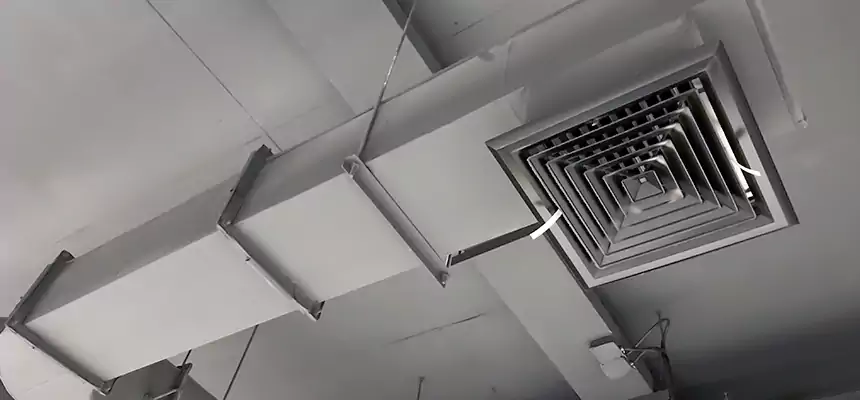 Our Pest Removal From Ducts Services in Rocky River, OH