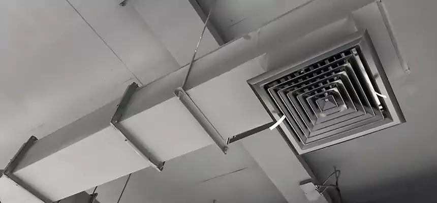 Our Rodent Droppings In Vents Services in Rocky River, OH