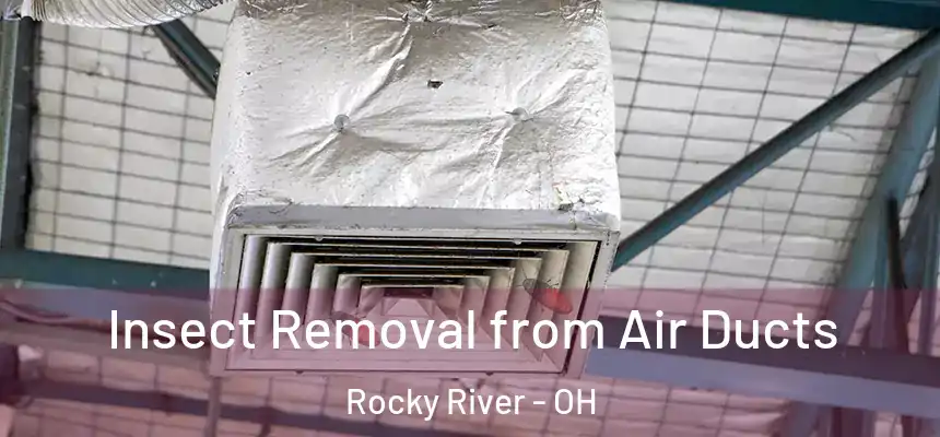 Insect Removal from Air Ducts Rocky River - OH