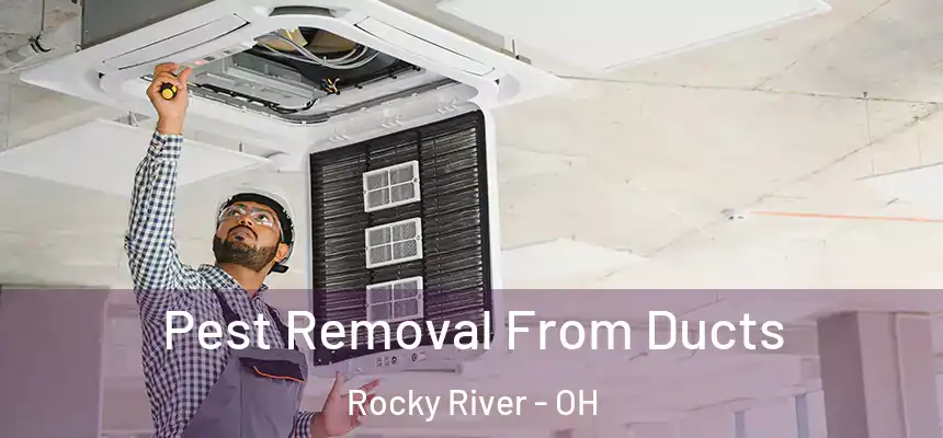  Pest Removal From Ducts Rocky River - OH