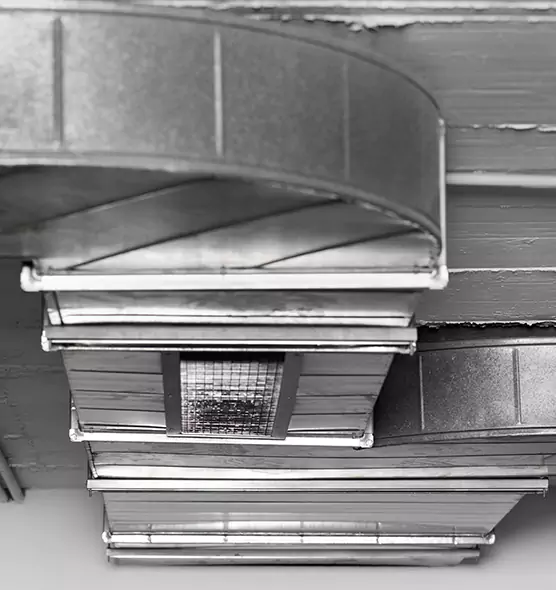 Professional Air Duct Pest Removal in Rocky River, OH