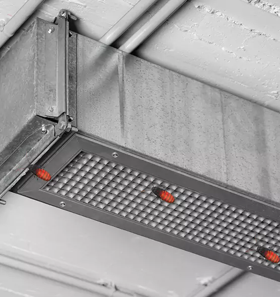 Affordable Insect Removal from Air Ducts in Rocky River, OH