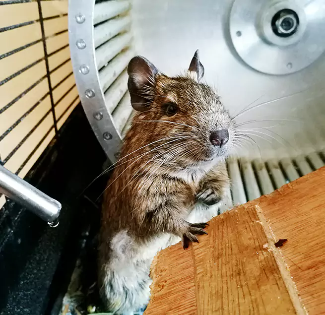 Why Homeowners & Businesses Trust Us Rocky River, OH