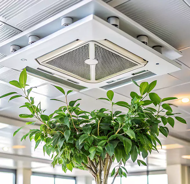 Why Homeowners & Businesses Trust Us in Rocky River, OH?